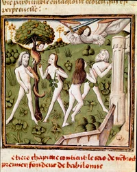 Adam et Ève cueillant le fruit défendu. Miniature du Maître du Champion des Dames (15ème siècle) tirée du manuscrit "Des hommes illustres" de Giovanni Boccaccio (Jean Boccaccio) (1313-1375). 15ème siècle. Carpentras. Bibliothèque Inguimbertine