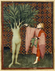 Apollon et Daphné