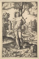 Saint Sébastien attaché à un arbre percé de flèches, 1530-60