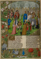 La Carolle dans le jardin. L