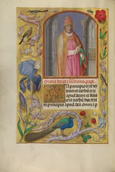 Pape Léon