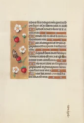 Heures de la reine Isabelle la Catholique, reine d