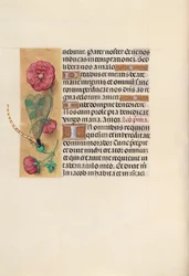 Heures de la reine Isabelle la Catholique, reine d