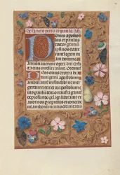 Heures de la reine Isabelle la Catholique, reine d