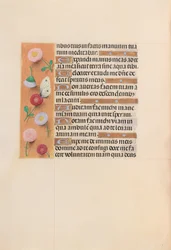 Heures de la reine Isabelle la Catholique, reine d