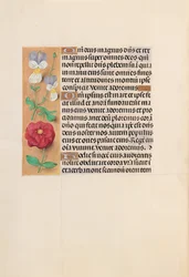 Heures de la reine Isabelle la Catholique, reine d