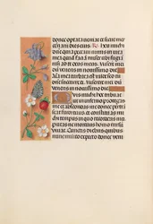 Heures de la reine Isabelle la Catholique, reine d