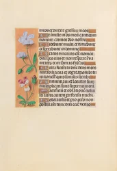 Heures de la reine Isabelle la Catholique, reine d