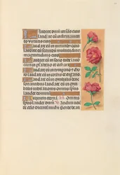 Heures de la reine Isabelle la Catholique, reine d