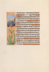 Heures de la reine Isabelle la Catholique, reine d