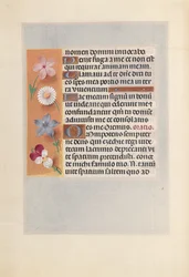 Heures de la reine Isabelle la Catholique, reine d