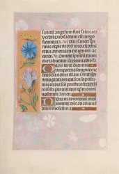 Heures de la reine Isabelle la Catholique, reine d