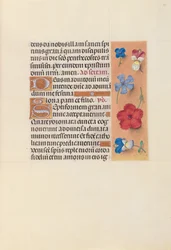 Heures de la reine Isabelle la Catholique, reine d