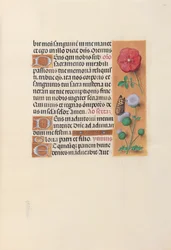 Heures de la reine Isabelle la Catholique, reine d