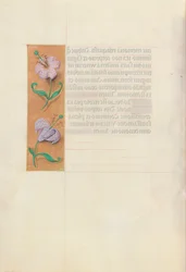 Heures de la reine Isabelle la Catholique, reine d