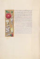Heures de la reine Isabelle la Catholique, reine d