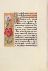 Heures de la reine Isabelle la Catholique, reine d