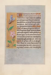 Heures de la Reine Isabelle la Catholique, Reine d