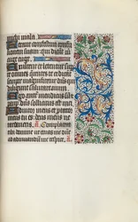 Livre d