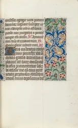 Livre d