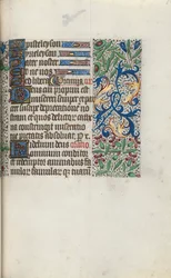 Livre d