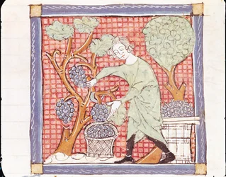 Fol.59r Septembre : La moisson