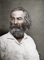 Walt Whitman, poète américain, c1880s