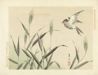 Oiseau volant près des herbes