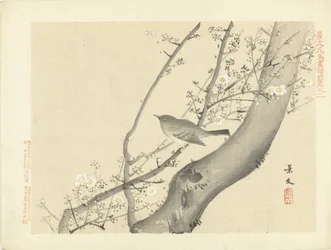 Petit oiseau dans un arbre avec des fleurs blanches