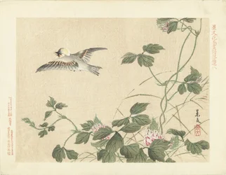 Oiseau volant près d