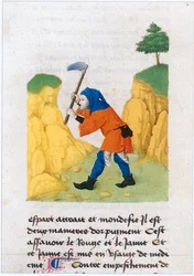 Le Livre des simples médecines - traduction en français du manuscrit latin du 12e siècle de Matthaeus Platearius (parchemin)