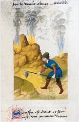 Le Livre des simples médecines - traduction en français du manuscrit latin du 12e siècle de Matthaeus Platearius (parchemin)