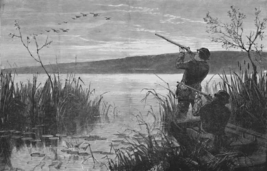 Chasse aux canards sur le lac Saratoga, 1973, 1883