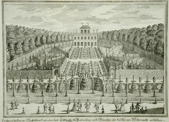Vue d