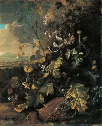 Sol forestier avec papillons et lézards