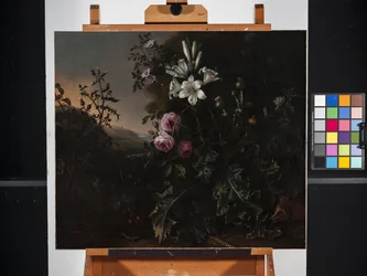 Nature morte