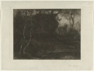 Forêt avec chevreau