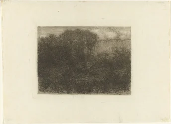 Étang forestier