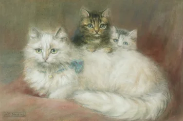 Un chat persan et ses chatons