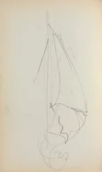 Carnet de croquis italien : Voile page 73, 1898-1899