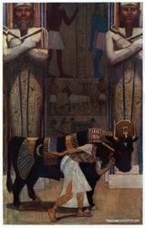 La jeune épouse et le taureau de bain, illustration de 