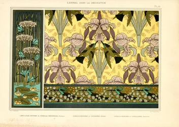 Motifs Art nouveau avec libellules, orchidées et colibris (litho)