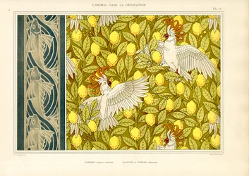 Motif décoratif avec cacatoès et citrons