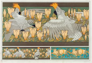 Projet de bordure de papier peint avec cacatoès et magnolia, publié en 1897