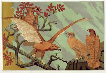 Aigles