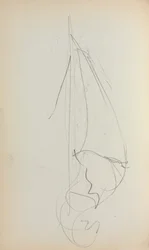 Carnet de croquis italien : Voile (page 73)