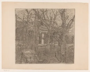 Arbres autour d