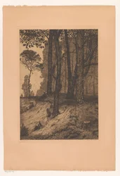 Lisière de forêt