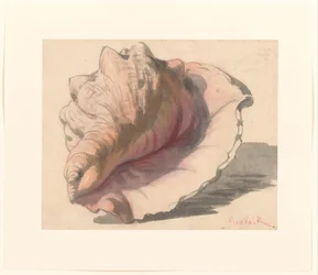 Coquillage