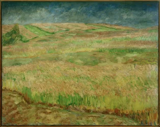 Paysages de céréales en fleurs